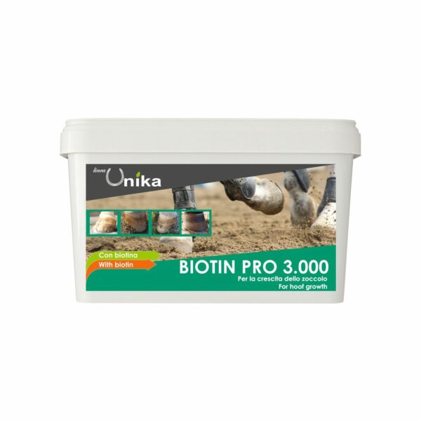 Biotin Pro 3000 da 1 Kg